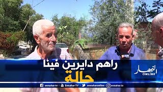 صريح جدا: غزو القردة.. يهدد ممتلكات وحياة سكان قرية العوانة بجيجل !!