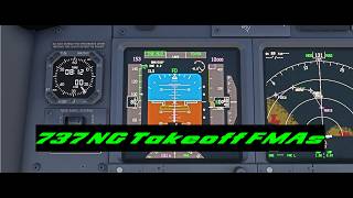 Boeing 737 NG Takeoff FMAs Explained