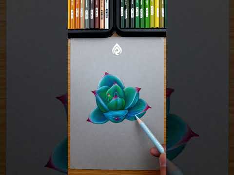 Drawing Plants With