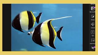 Fish Photo Editing 🔥 | Creative Clone Effect & Double Pattern | PicsArt Editing screenshot 4