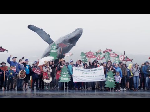 The People Have Spoken: Protect the Tongass Rainforest