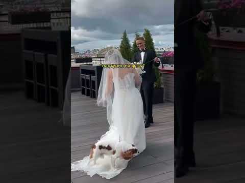 СОБАКА ИСПОРТИЛА ВСТРЕЧУ ЖЕНИХА И НЕВЕСТЫ😭💔