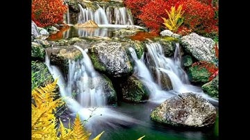 سورة العصر بصوت رائع👍