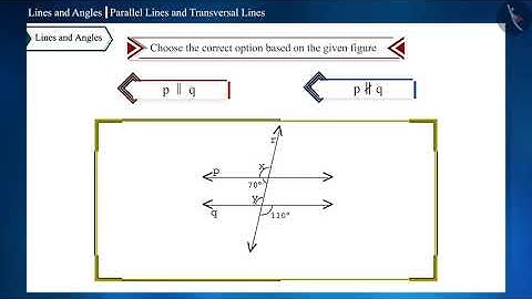 Parallel lines and a transversal | Part3/3 | English | Class 9