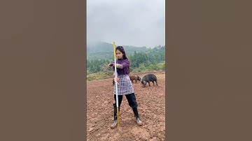 Kungfu china master 137/Hướng dẫn múa gậy #霞光腊月#kungfu #wing chun