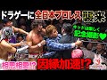 全日本プロレス勢がドラゴンゲートに上陸!!️ドラゴンキッドは全日Jr.と相思相愛!?「最先端バトル ドラゴンゲート!!」ep273