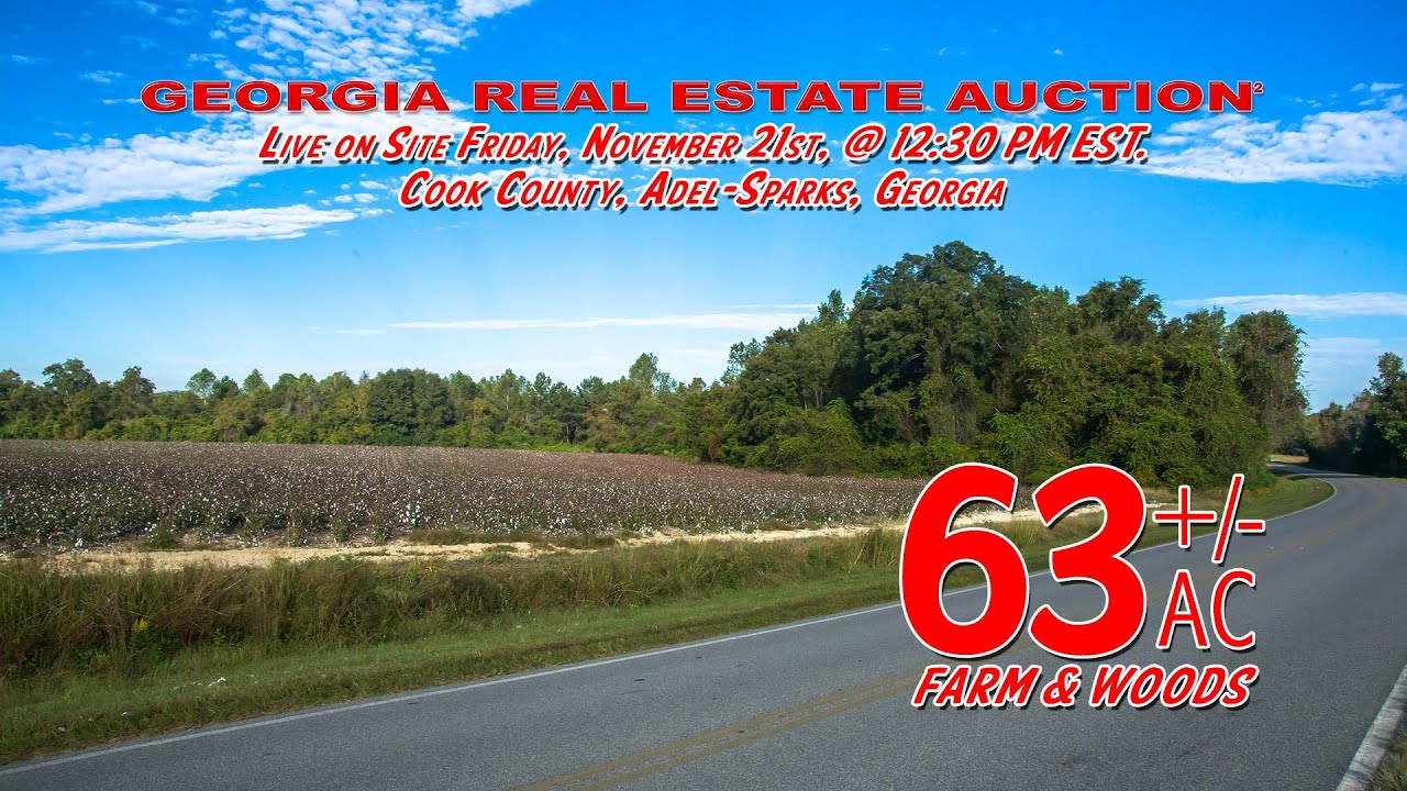 63 Acre Land Auction Sparks Adel Cook County Lot 1007 YouTube