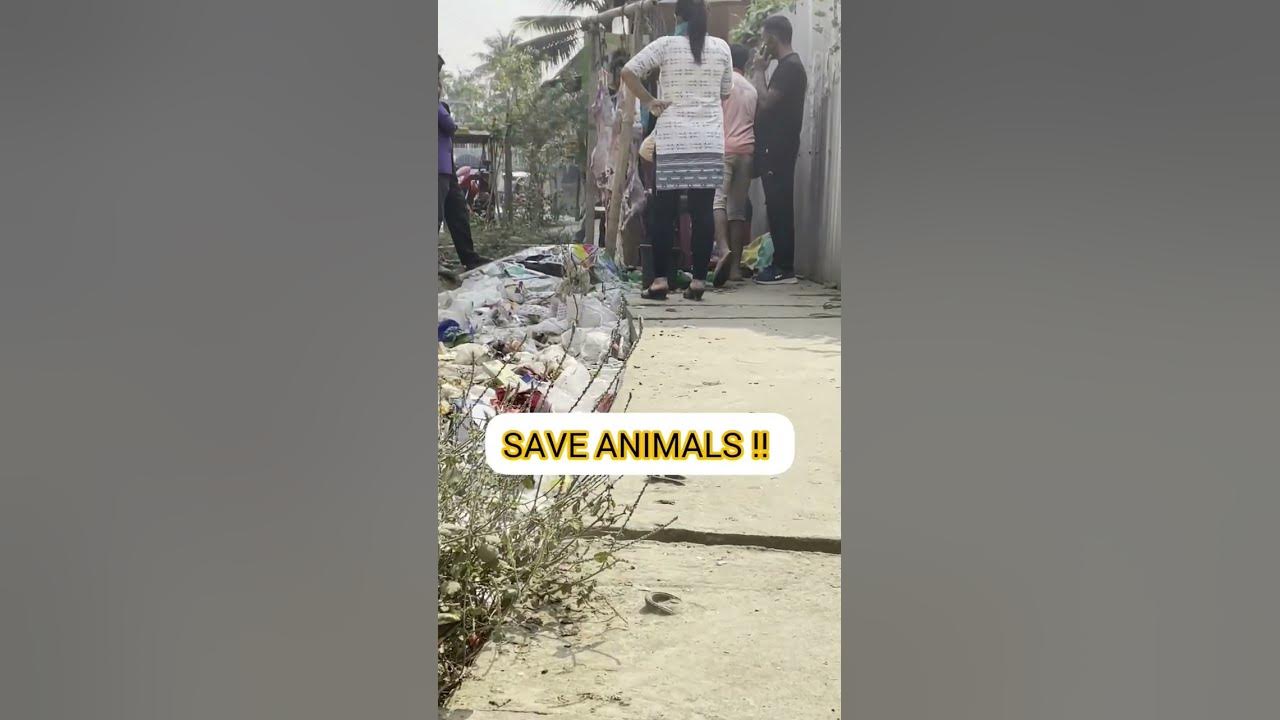 How can humans be so heartless share more animals videos 