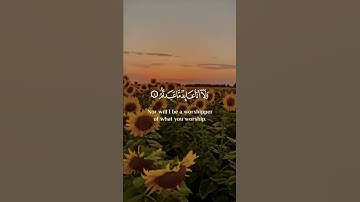 قل يأيها الكافرون ⚘💛حالات واتس قرآن كريم بصوت جميل Quran ⚘