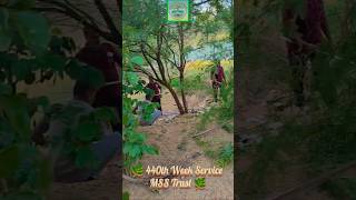 440th Week Service -MSS Trust #sitheri #MadipakkamLake #SaveNature #TreeCare #EcoFriendly #Volunteer