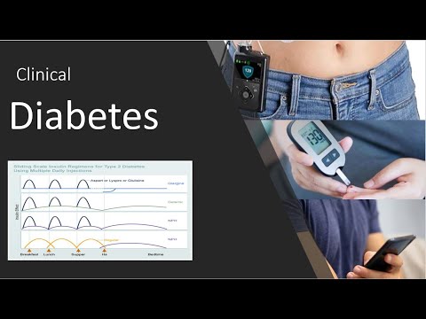 Video: Diabetes Basal-Bolus-insulineplan