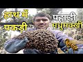 I catched bees swarm in my hand         jpthebeeman