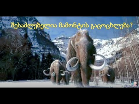 შესაძლებელია მამონტის გაცოცხლება?