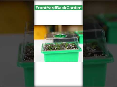 Seed Starter Tray