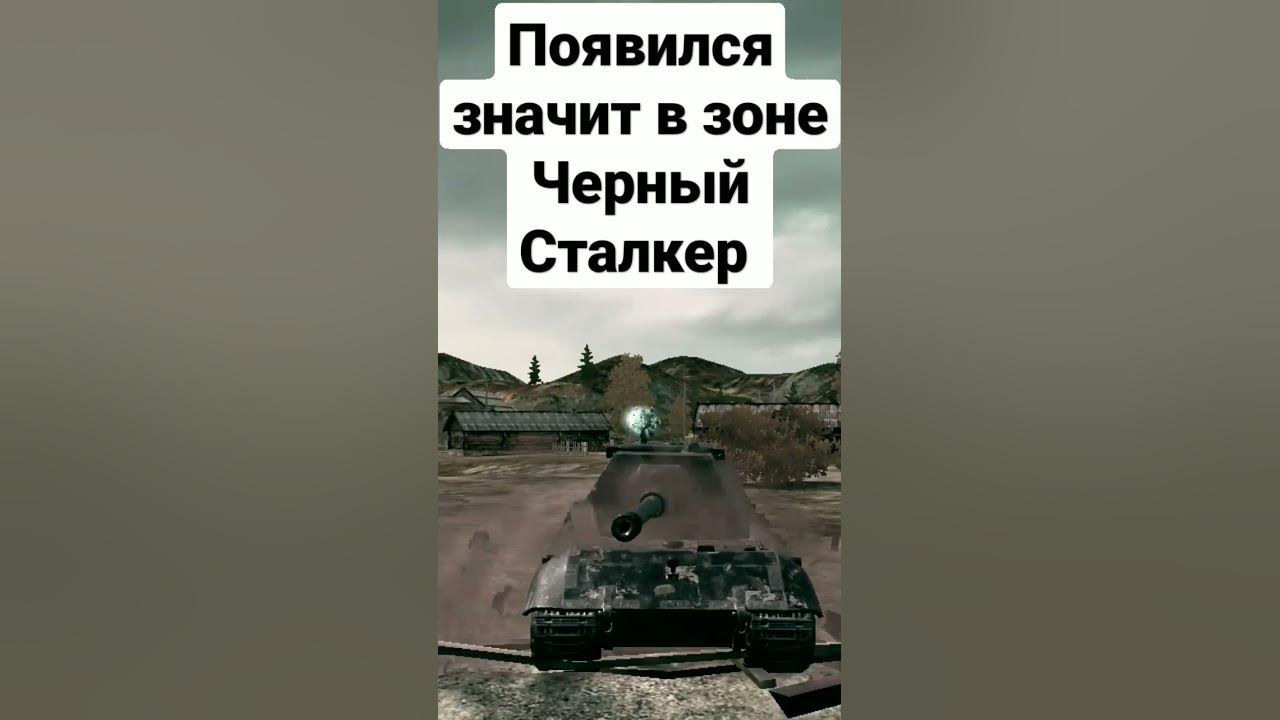 мем. появился значит в зоне чёрный сталкер