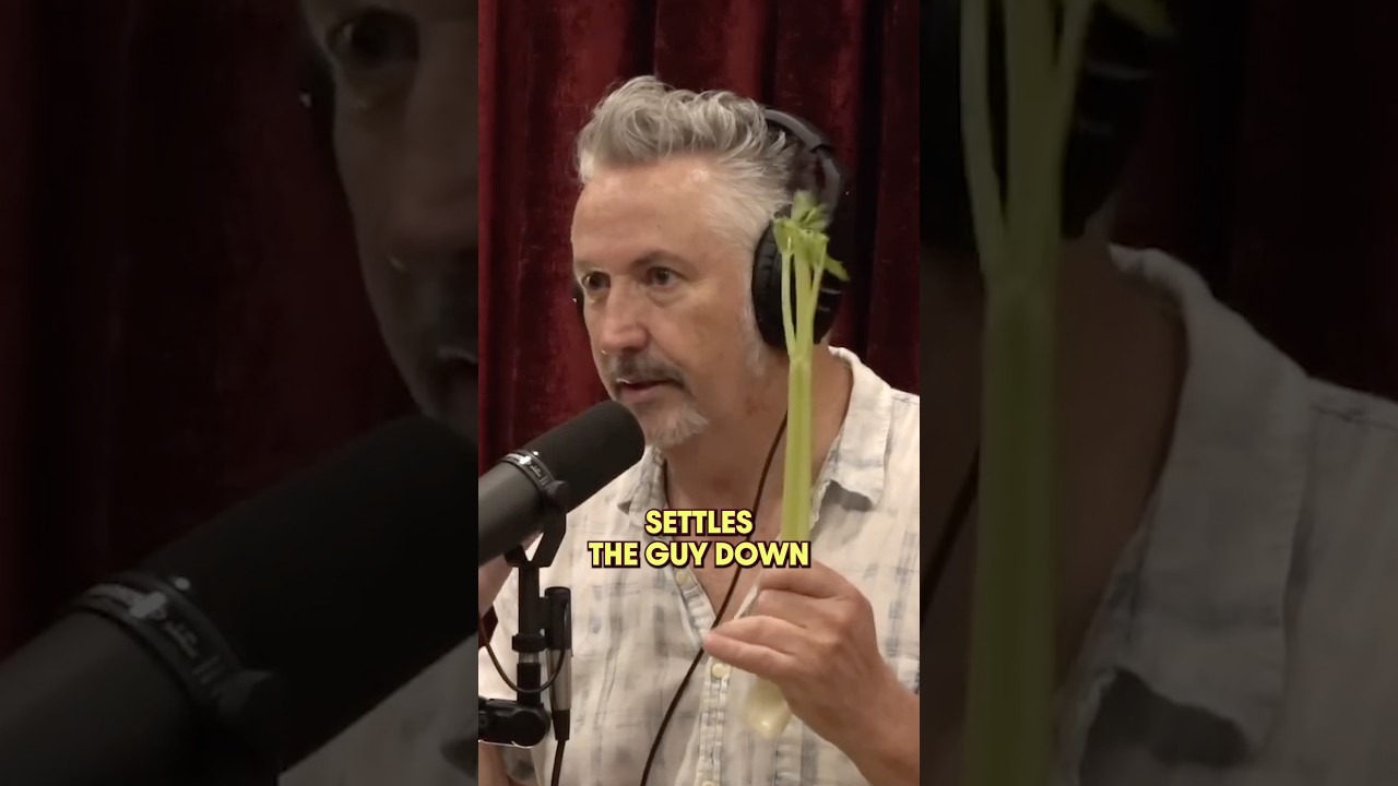 The things we do for the ones we love. From @joerogan Ep #2158 #podcastclips #comedyclips