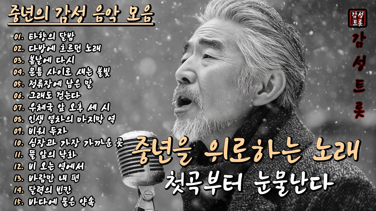 첫곡부터 눈물난다🍂 | 중년의 마음을 위로하는 감성 트로트 15곡 모음 (Part.08)🎵 | #감성트롯 #중년음악 #7080음악