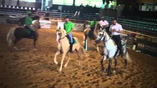 Global Equus International 2016