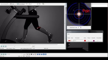 Quintic v29 Software - Automatic Single Point Digitisation