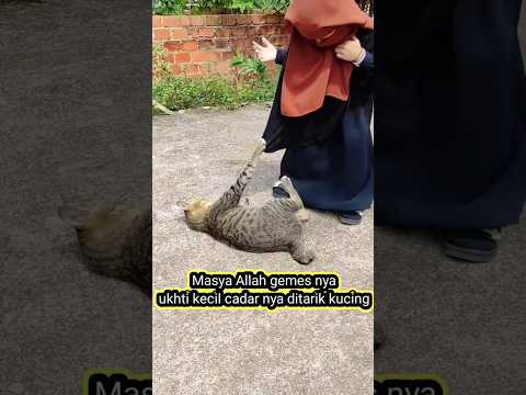 Cadar ukhti kecil ditarik kucing. gemes nya ukhti kecil sudah nyaman bercadar