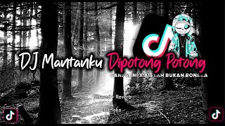 DJ MANTANKU DIPOTONG POTONG X GANI GANI X AISYAH BUKAN BONEKA I Slow Mengkane I Slowe & Reverb By Me