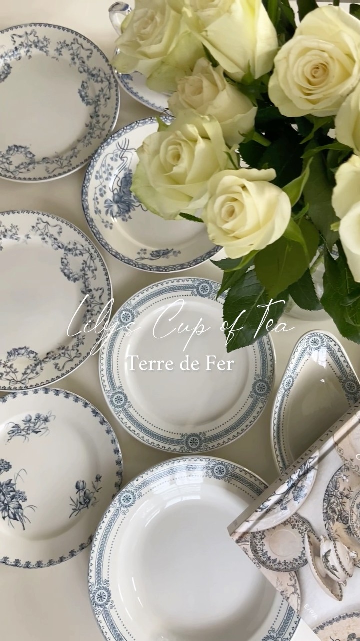 Terre de Fer 🇫🇷テールドフェールの魅力 #フランス #蚤の市