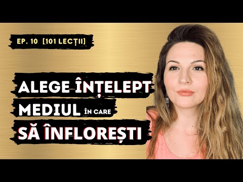 Alege INTELEPT mediul in care SA INFLORESTI [Ep. 10  - 101 lectii]