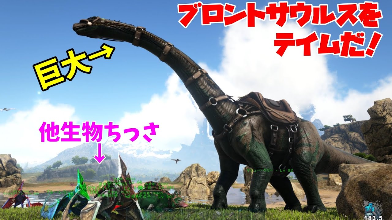 ルルとブロントサウルス Amazon.co.jp: ブロントサウルス 88825 : おもちゃ