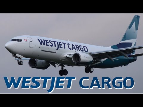 Modellino Aereo WestJet Cargo Boeing 737-800BCF C-FTWJ – NG Model 58135 Scala 1:400