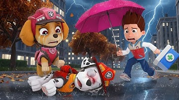 Please Wake Up My Friends! Marshall, Don’t Leave Us – Paw Patrol Funny Animation | Rainbow 3