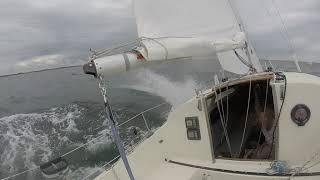 L23 Baloo. Tur 2 - 2019 (3/3)