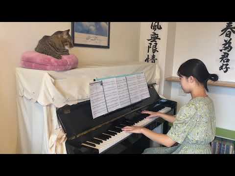 forgiveness      浜崎あゆみ　　　　　　　　　ピアノ　　〜猫と一緒〜