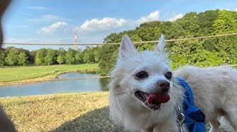便 Youtube 便 Youtube
