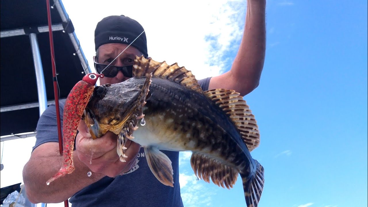 Fishing Newport Beach/Huntington Beach Artificial Reefs! YouTube