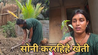 Soni Karaihe Sabjika Kheti