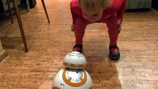 Робот BB-8 Звездные войны - тест драйв в домашних условиях. BB-8 Star Wars. Unboxing BB8 Disney 0+ Робот BB-8 Звездные войны - тест драйв в домашних условиях. BB-8 Star Wars. Unboxing BB8 Disney 0+