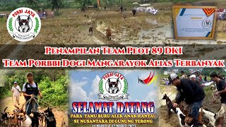 Team Peot 89 DKI Angkut Dogi Mangarayok Alias Banyak Ke Buruan Alek Gunung Terong Porbbi jaya