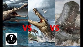 Sarcosuchus vs Deinosuchus vs Purussaurus, con nào sẽ thắng #11 || Bạn Có Biết?