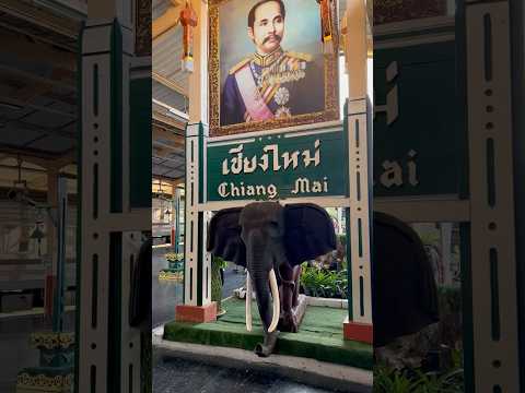 Chiang Mai 4 Day Itinerary for photographers! #thailand #thailandtravel #chiangmai #photographers