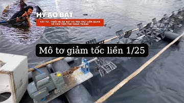 Mô tơ giảm tốc liền - Ít gãy kẹt đăng quạt