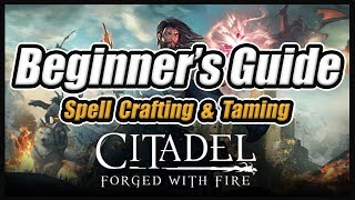 Citadel Reignited Beginner's Guide: Basics, Spell Crafting & Taming