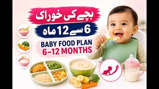 Baby Food Plan 6–12 Months | Complete Guide to Feeding Your Baby After 6 Months