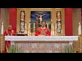 LIVE: Sunday Mass in Spanish