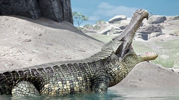 The Simple Life of a Solo Sarcosuchus