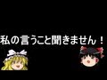 【ゆっくり実況】そのゆっくり,160km/h 【5th Race】 【マリオカートWii】