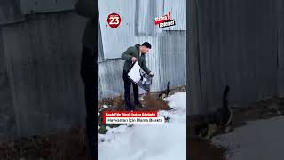 Baskil’de Yürek Isıtan Görüntü: Genç, Sokak Hayvanları İçin Mama Bıraktı
