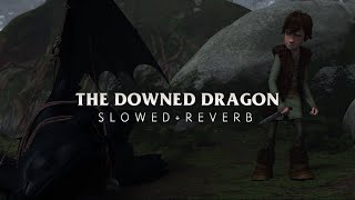 John Powell - The Downed Dragon (Slowed + Reverb) Resimi