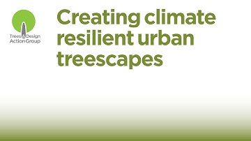 Creating climate resilient urban treescapes