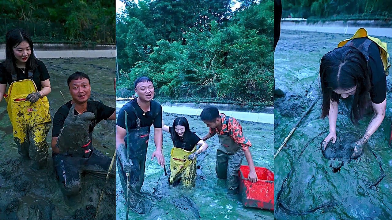 Giúp fan nữ mua ao cá 500 tệ – Liệu có ba ba không