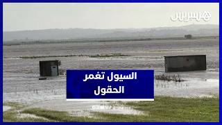 Download Lagu الفيضانات تغمر أراضي فلاحية بجماعة السواكن بإقليم العرائش MP3
